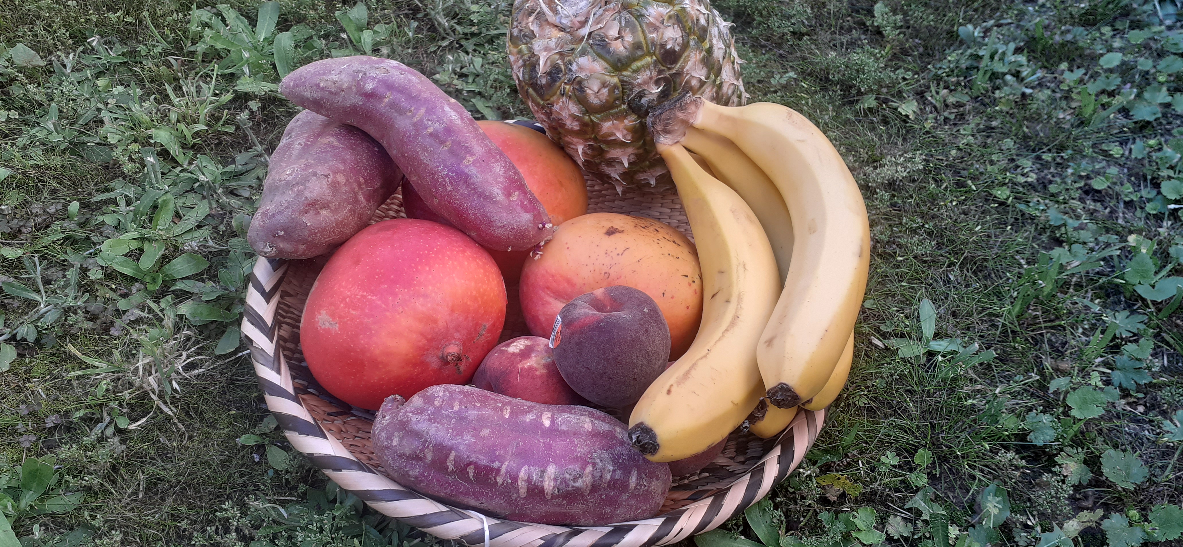 Kwanzaa basket with fruit