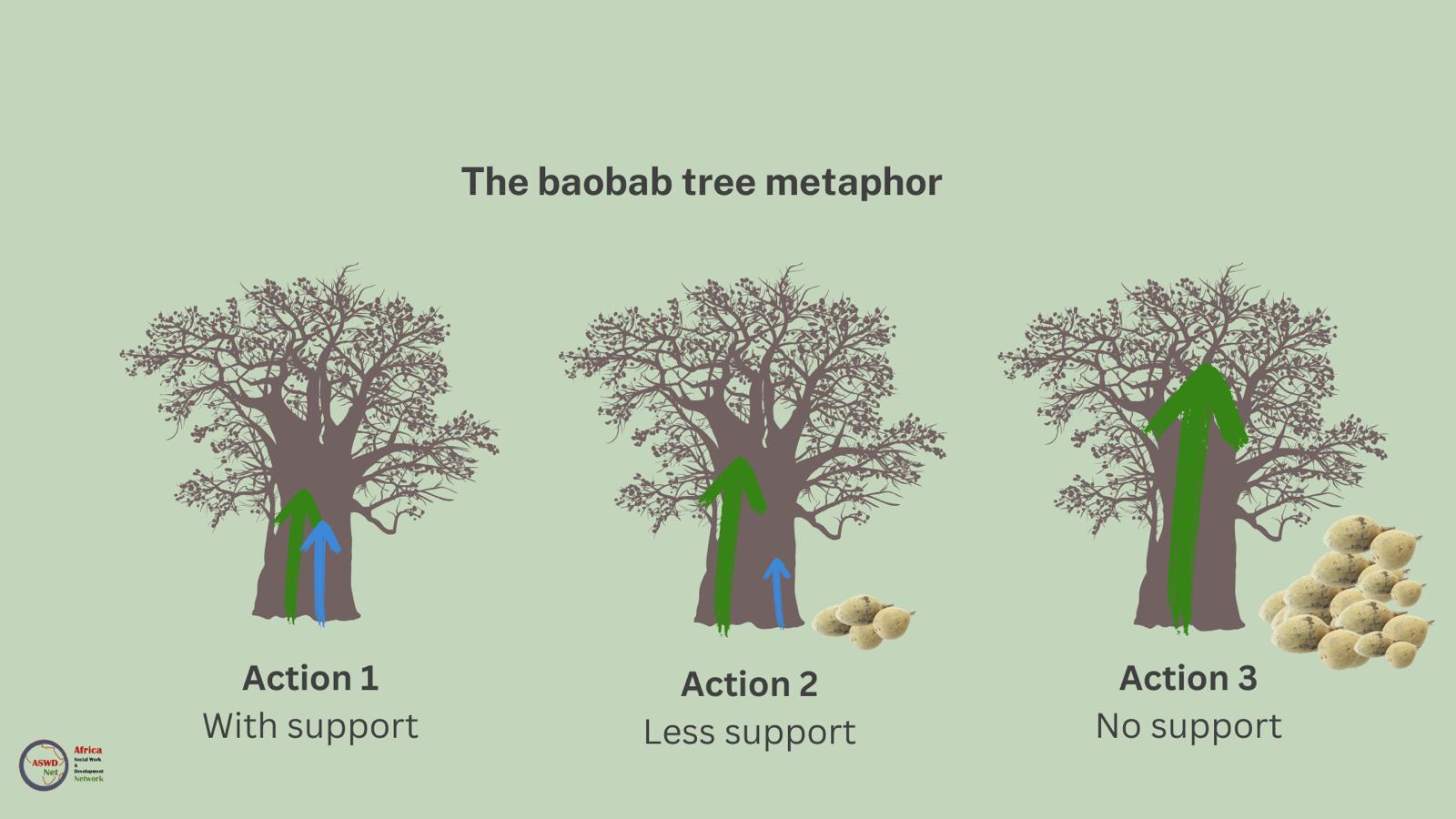 The baobab tree metaphor of action research